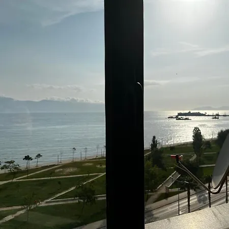Holidays * Vlore